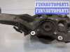 купить Кулак поворотный на Ford Expedition 2002-2006