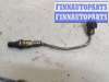купить Лямбда зонд на Infiniti QX56 2010-2013