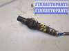 купить Лямбда зонд на Ford Transit (Tourneo) Connect 2002-2013