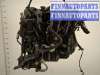 купить Катушка зажигания на Ford Focus 2 2008-2011