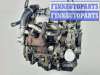 купить Двигатель на Ford Transit Connect Connect (P65,P70,P80) 2002 - наст. время