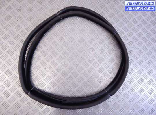 Уплотнитель дверной BM3243846 на BMW X5-series (E53)