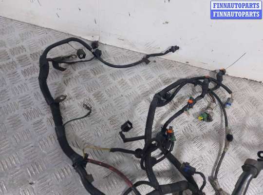 купить Проводка двигателя на RENAULT Scenic 2