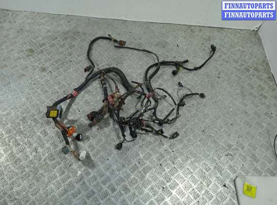 Проводка двигателя RN890610 на RENAULT Megane 2