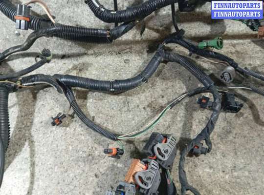 купить Проводка двигателя на RENAULT SCENIC RX4