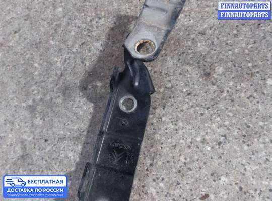 Петля капота на Citroen C5 II (X7)