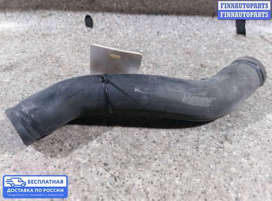 Патрубок (трубка, шланг) на Nissan Tino V10