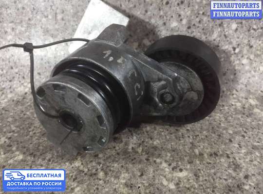 Натяжитель ремня, цепи на Renault Clio Symbol