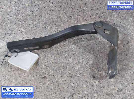 Петля капота на Honda Accord VIII (CU)