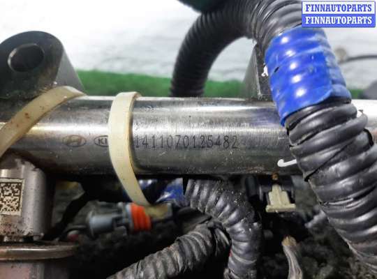 Рампа (рейка) топливная на Hyundai Santa Fe III (DM, NC)