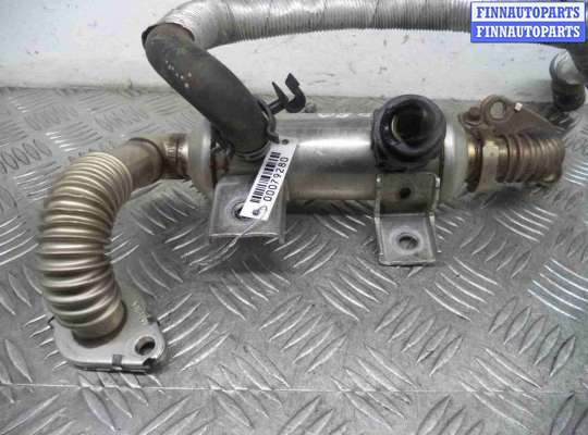 Радиатор системы EGR FO1373669 на Ford Connect (P65,P70,P80) 2002 - 2009