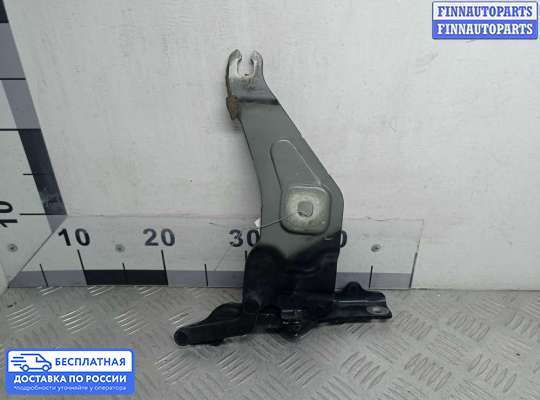 Петля капота на BMW X5 (E70)