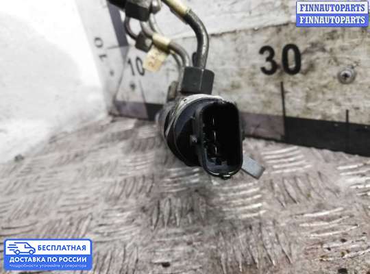 Рампа (рейка) топливная на Range Rover Sport I (L320)