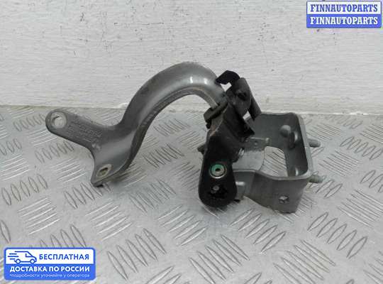 Петля крышки багажника на Audi Q7 (4L)