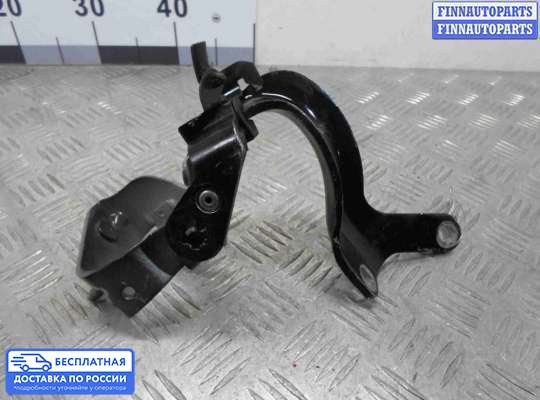 Петля крышки багажника на Audi Q7 (4L)