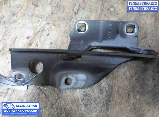 Петля капота на Nissan Pathfinder III (R51)