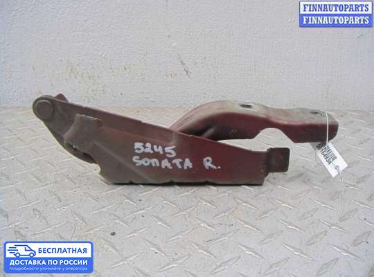 Петля капота на Hyundai Sonata VI (YF)