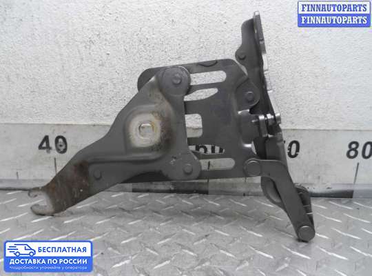 Петля капота на BMW X5 (E70)