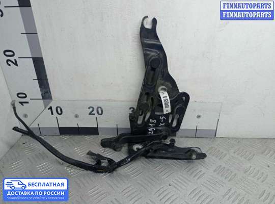 Петля капота на BMW X5 (E70)