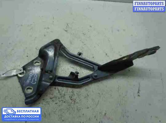 Петля капота на Volkswagen Touareg I (7L)