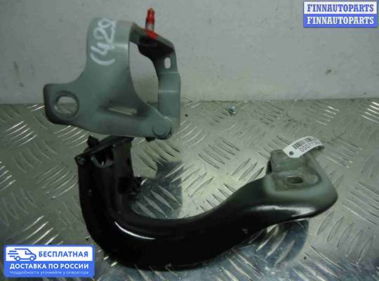 Петля крышки багажника на Audi Q5 (8R)