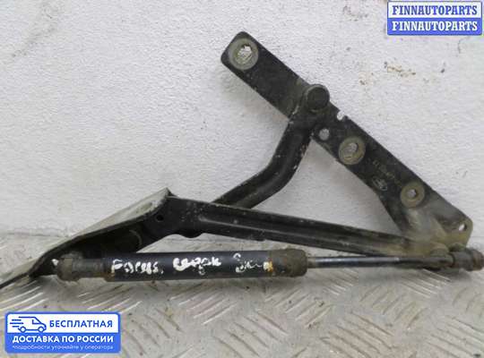 Петля крышки багажника на Ford Focus I