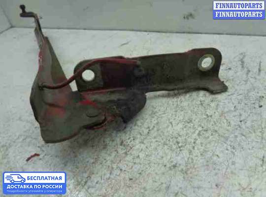 Петля капота на Ford Explorer III (U152)