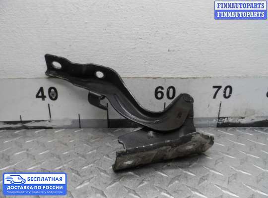 Петля капота на Hyundai Santa Fe II (CM)