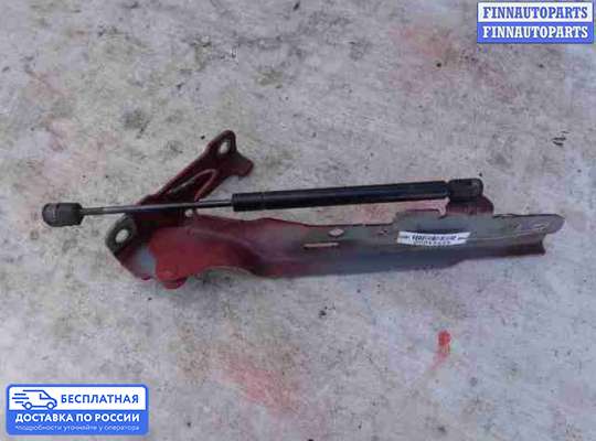 Петля капота на Ford Explorer III (U152)