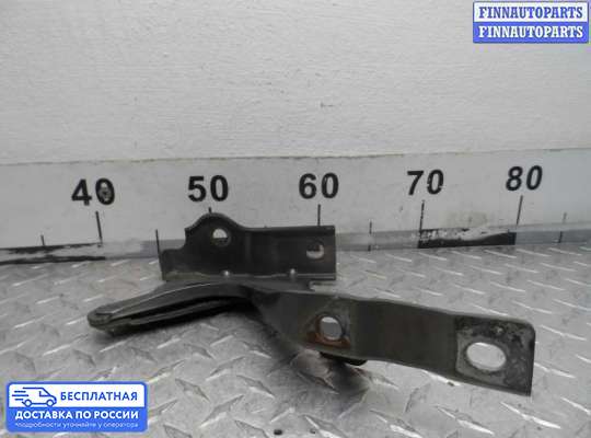 Петля капота на Hyundai Santa Fe II (CM)