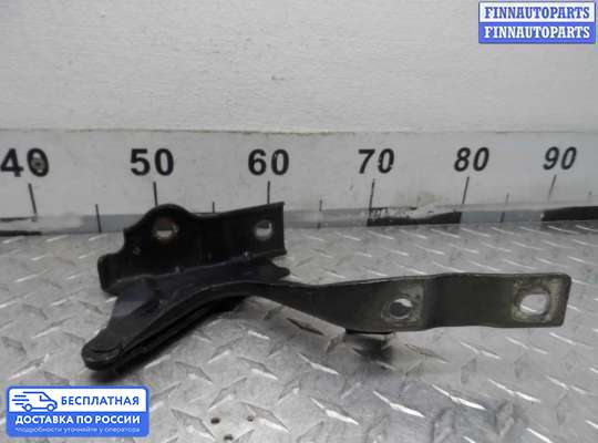 Петля капота на Hyundai Santa Fe II (CM)