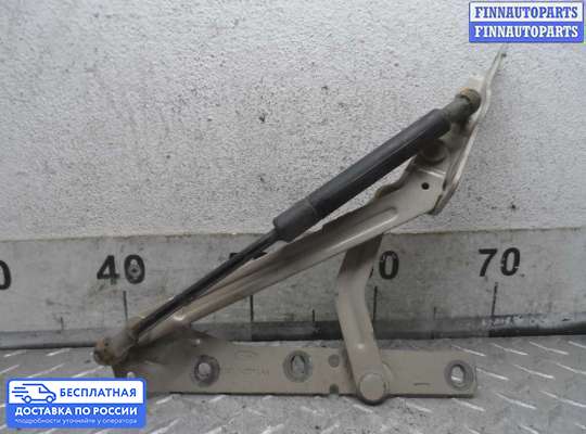 Петля крышки багажника на Ford Focus I