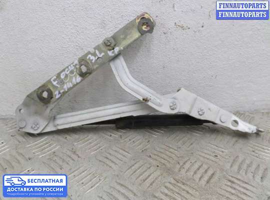 Петля крышки багажника на Ford Focus I