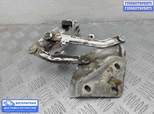 Петля капота на Volkswagen Touareg I (7L)