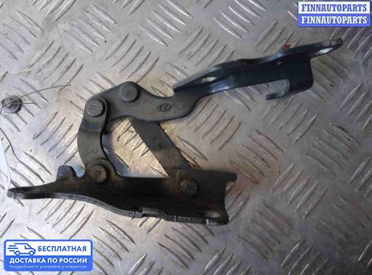 Петля капота на Hyundai Sonata V (NF)