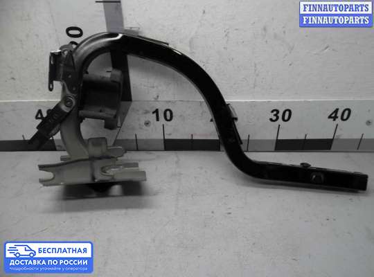 Петля крышки багажника на Lexus LS IV (XF40)