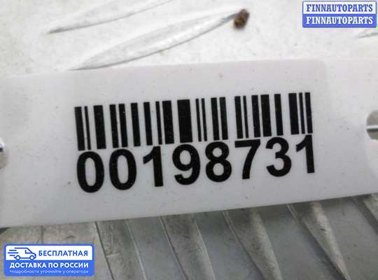 Решетка (заглушка) бампера на Ford Focus II