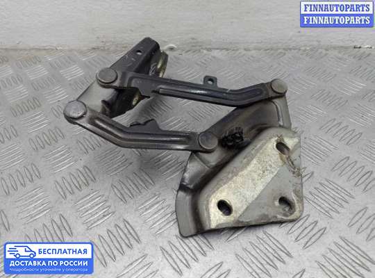 Петля капота на Volkswagen Touareg I (7L)