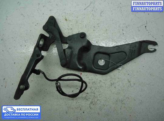 Петля капота на BMW X5 (E70)