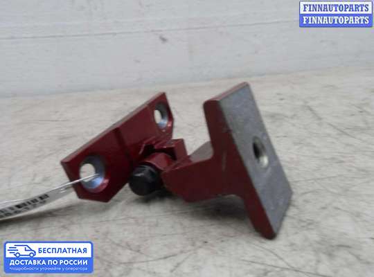 Петля двери на BMW X6 (E71)