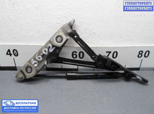 Амортизатор крышки багажника на Infiniti Q50 (V37)