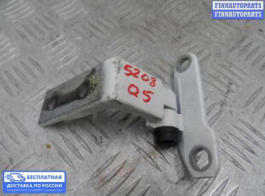 Петля двери на Audi Q5 (8R)