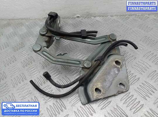 Петля капота на Volkswagen Touareg I (7L)