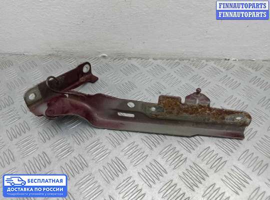 Петля капота на Ford Explorer IV (U251)