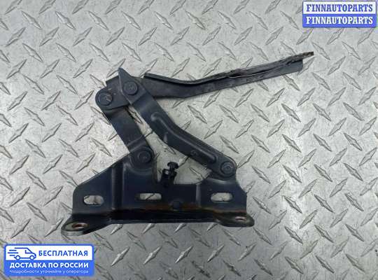 Петля капота на Hyundai Tucson IV (NX4)