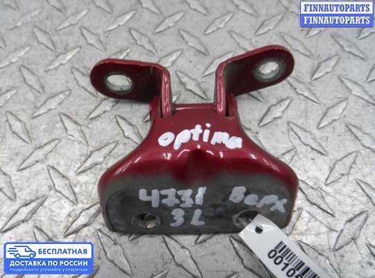 Петля двери на Kia Optima III (TF)