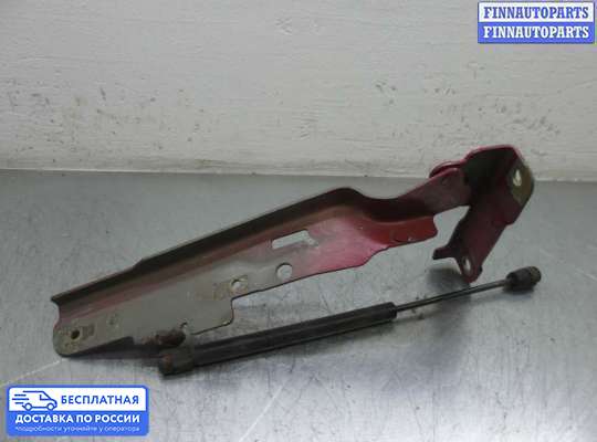 Петля капота на Ford Explorer III (U152)