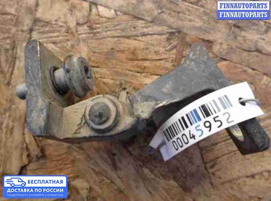 Петля двери на Volkswagen Amarok (2H)