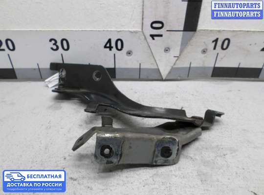 Петля крышки багажника на Infiniti EX / QX50 (J50)
