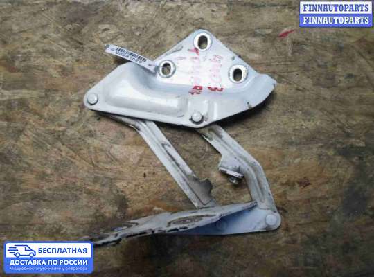 Петля капота на Volkswagen Touareg I (7L)
